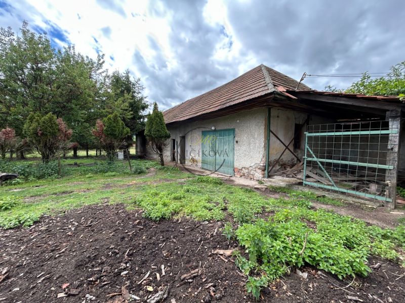 A family house in Čifáre with a large yard and an older shelter, surrounded by greenery.