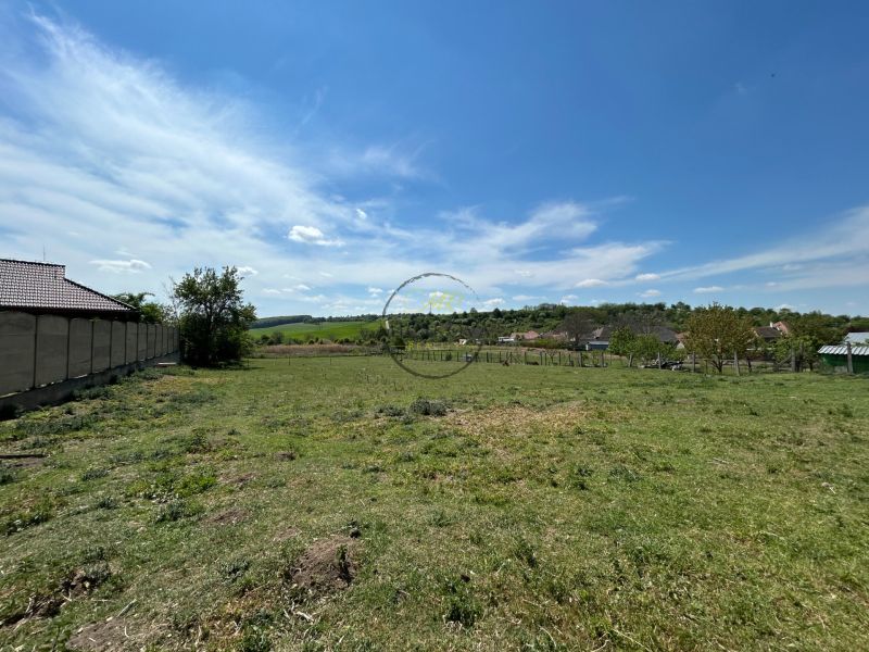A grassy plot near a family house in Čifáre with a clear blue sky on the horizon.