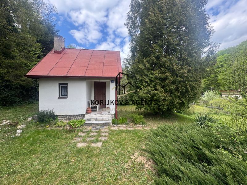 A cottage in Svinica surrounded by greenery, with a white facade and a red roof.