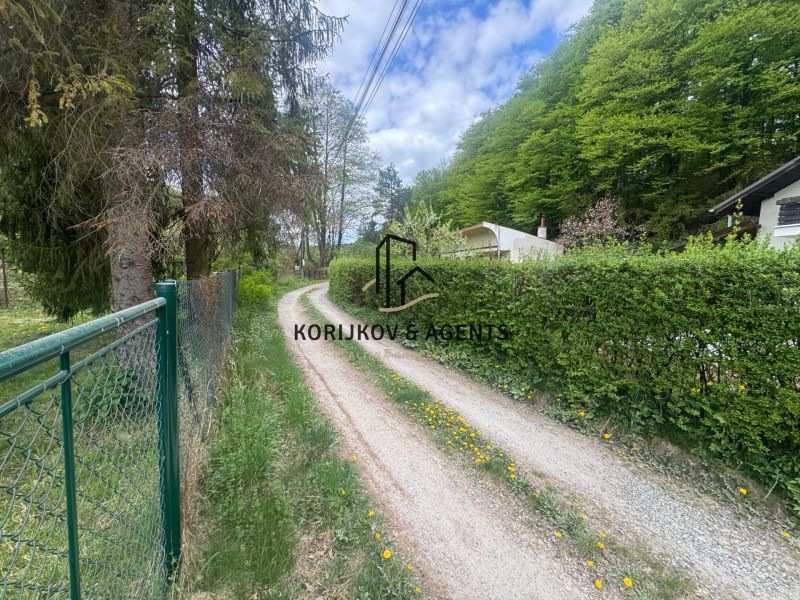 A cottage in Svinica surrounded by greenery with a dusty road lined with a fence and trees.