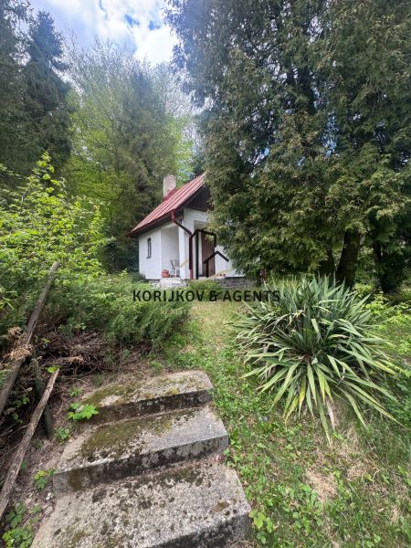 A cottage in Svinica surrounded by greenery and stairs leading to the door.