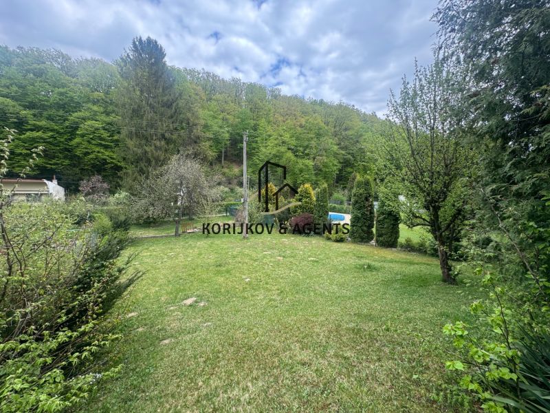 The garden of the cottage in Svinica surrounded by greenery and trees.