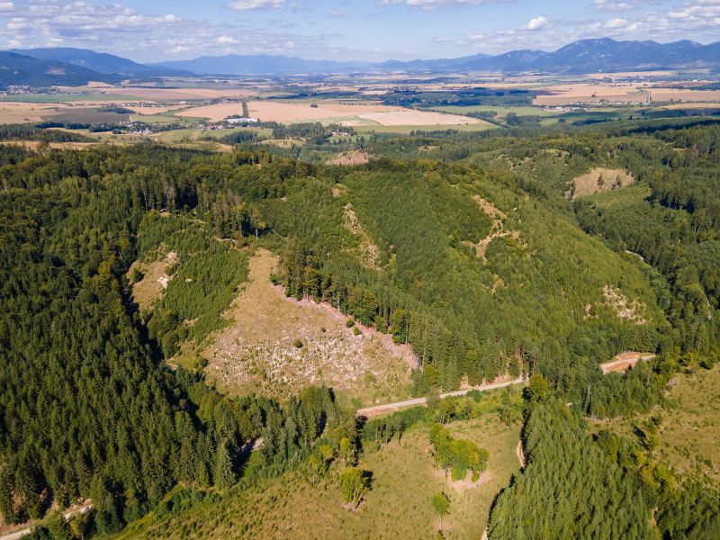 Aerial view of agricultural and forest lands around Budiš with a view of the landscape.