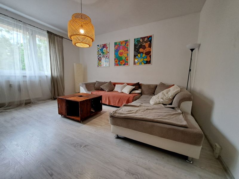 Living room in a 3-room apartment with a comfortable sofa and wooden decor flooring.