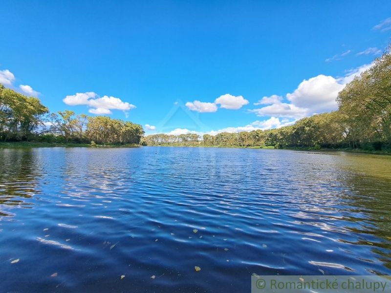 A lake surrounded by trees in Hruboňovo in Záhrady under a clear blue sky.