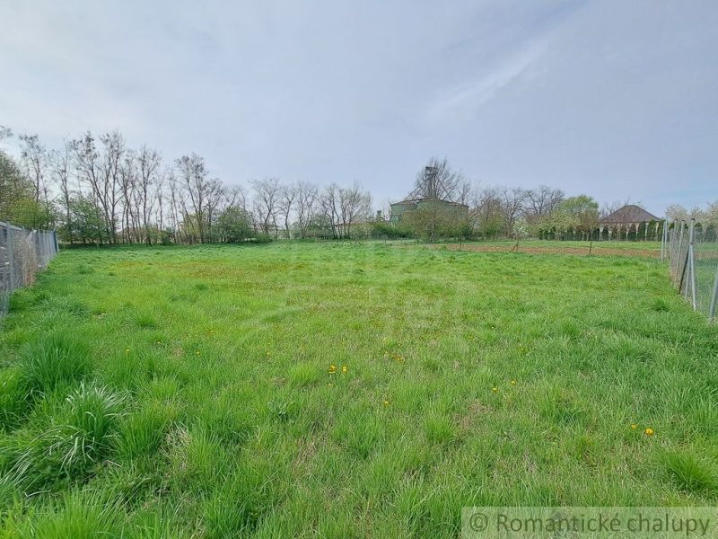 A vast green meadow surrounded by trees and fencing in the Gardens near Hruboňovo.