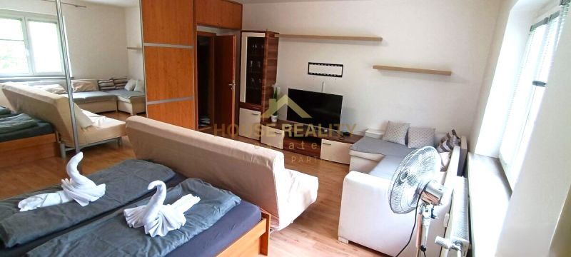 Living room in a studio apartment with a sofa, bed, and TV, wooden decor flooring.