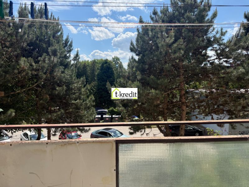 View of pine trees from the balcony of a 3-room apartment in Zlaté Moravce, parking lot in the background.