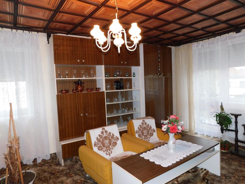 Living room of a family house with retro furniture and flowers on a wood-decor floor.