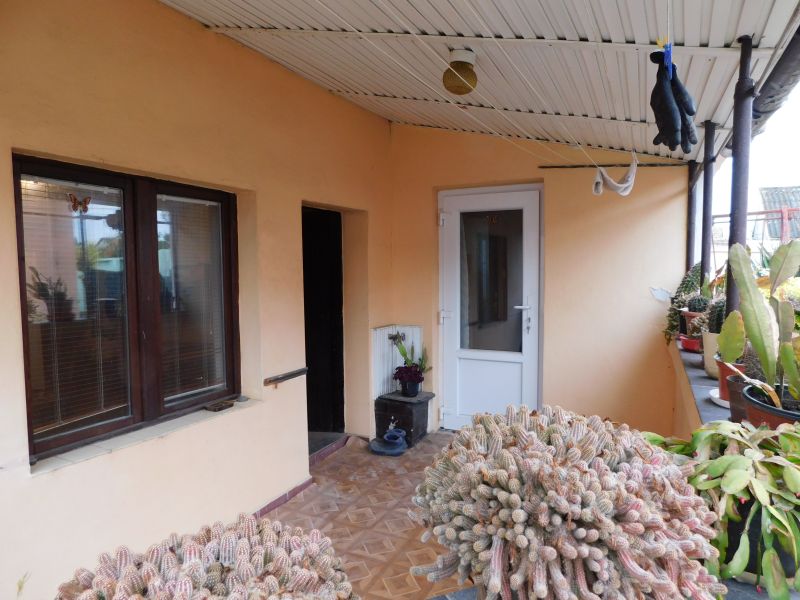 A family house in Dvory nad Žitavou: a terrace with cacti and paving.