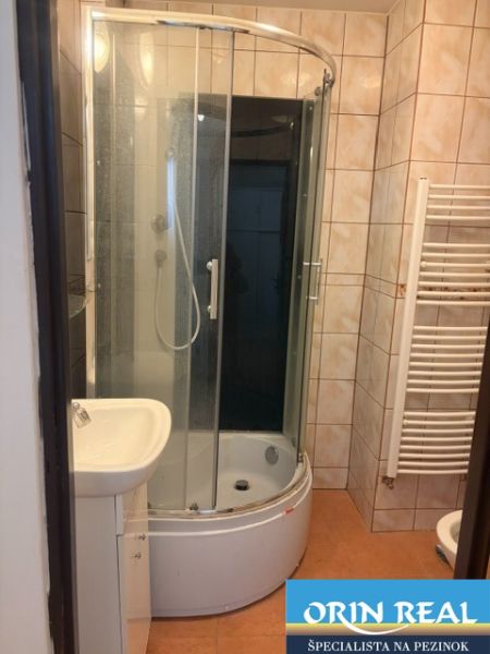 A bathroom with a corner shower and a sink in a studio apartment.