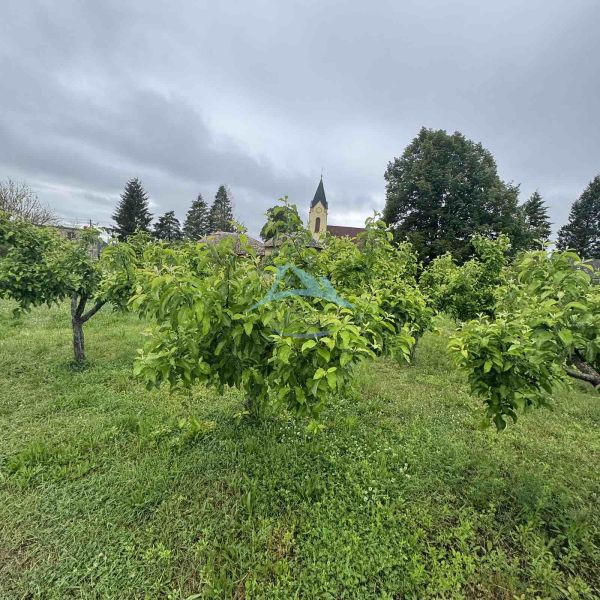 Garden in a family house in Veľká Čalomija, with a church tower in the background.