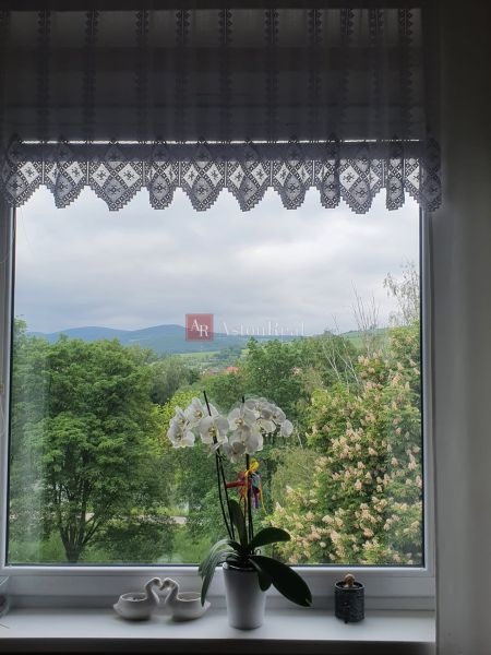 A view from a 3-room apartment of greenery and mountains with an orchid on the windowsill.