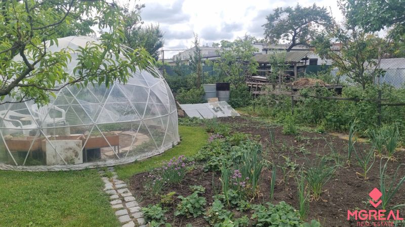 The garden of a family house in Leopoldov with a greenhouse, plants, and a paved walkway.