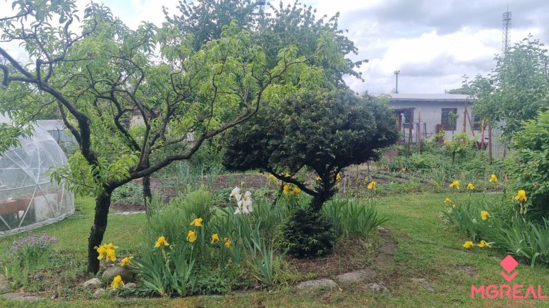 The garden of a family house in Leopoldov with trees and blooming yellow flowers.