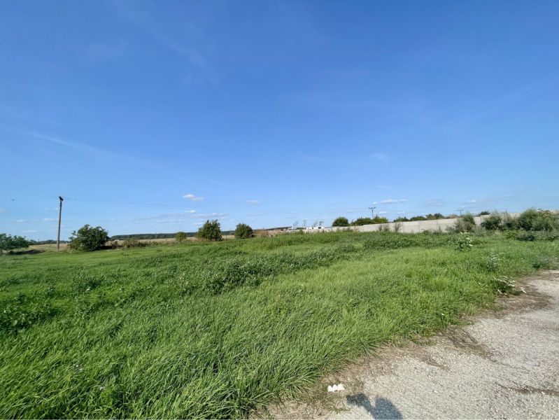 Greenery in the field in Kostolné Kračany at Amadeho Kračany near the production facilities.
