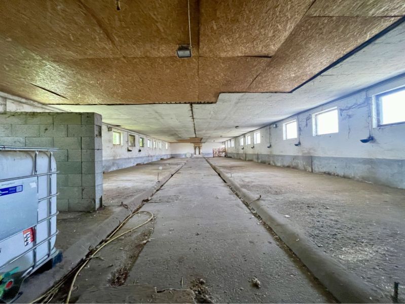 The interior of manufacturing spaces with a concrete floor and windows on the walls.