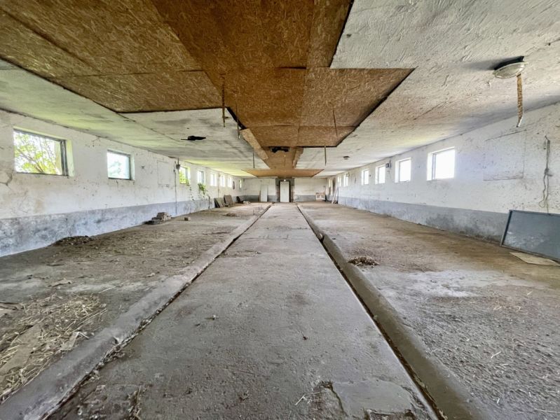 Production premises with an unfinished floor and wooden panels on the ceiling.