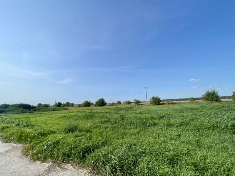 Green field in Kostolné Kračany at Amadeho Kračany, production facilities, blue sky.