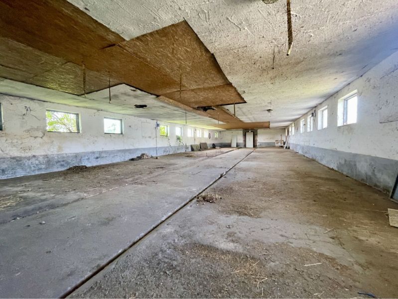 Empty production spaces with concrete floors and windows overlooking greenery.