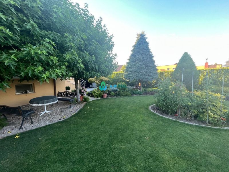 The garden of a family house in Orechová Potôň with a well-maintained lawn and various flowers.