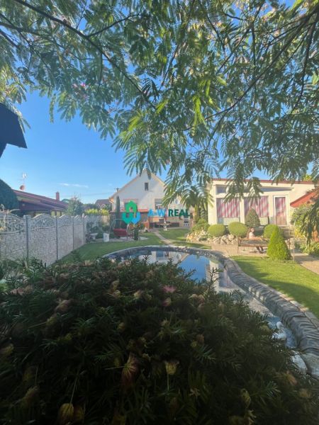 A garden with a pond and trimmed shrubs by a family house in Orechová Potôň.