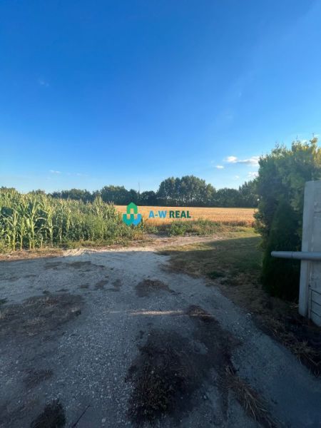 A field with an access road near a family house in Orechová Potôň.