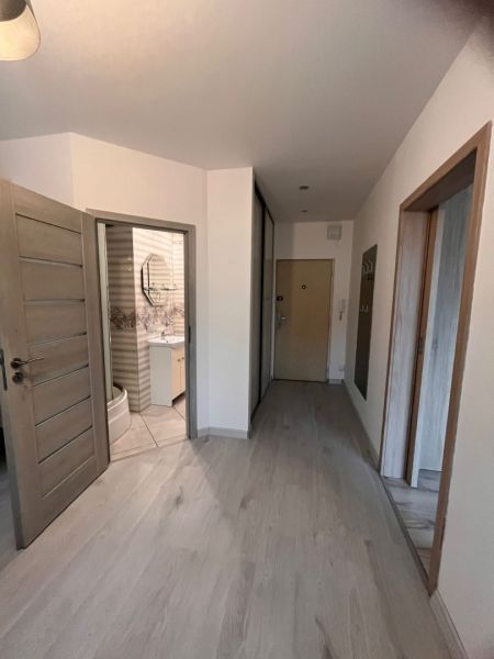 Hallway in a one-room apartment with a wooden decor floor and a bathroom.