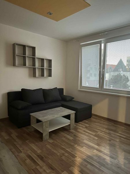Living room in a one-bedroom apartment with a wooden decor floor and a sofa.