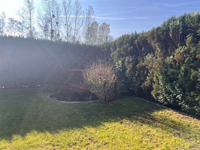 The garden of a family house in Gabčíkovo with a small pond and dense hedges.