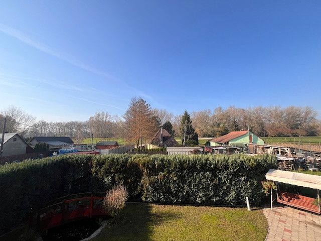 A garden in a family house in Gabčíkovo with a hedge and lawn.
