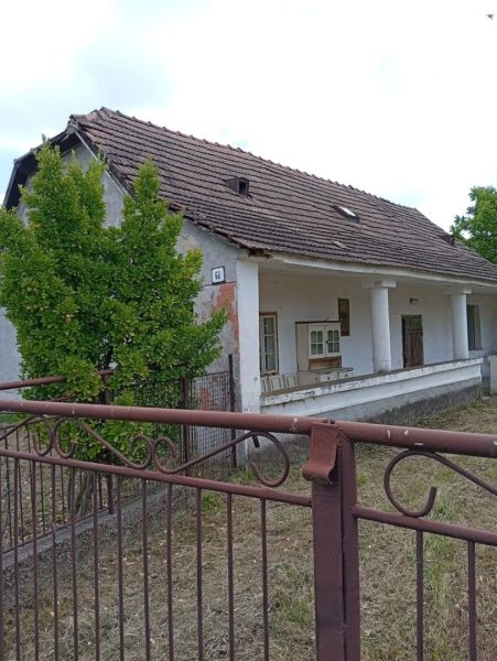 A family house in Ňárad with a classic tiled roof and a landscaped garden behind the gate.