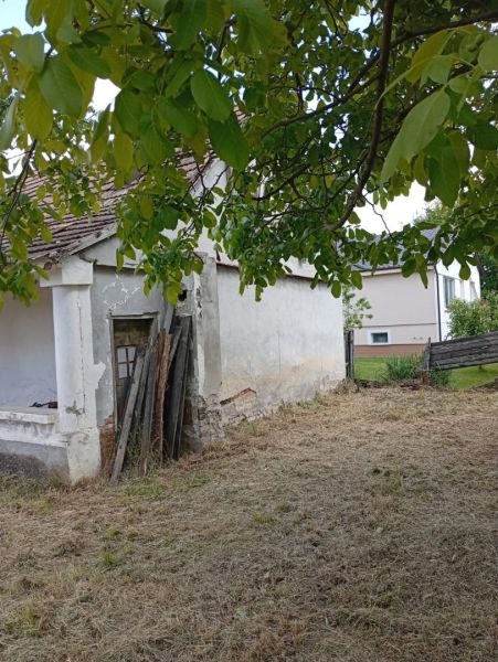 Older family house in Ňárad, damaged facade, yard with grass and a tree.