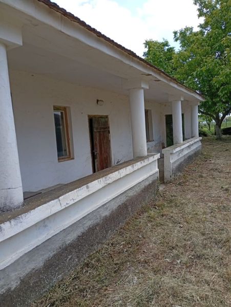 A family house in Ňárad with white columns and a veranda, surrounded by greenery.