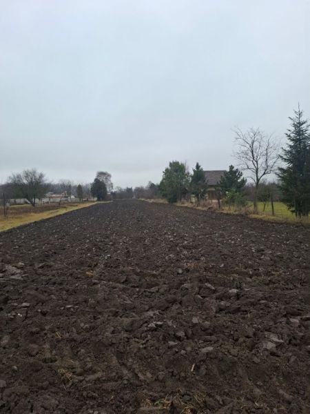 A cultivated field in the Gardens of the city of Dunajská Streda with rural landscape and trees.