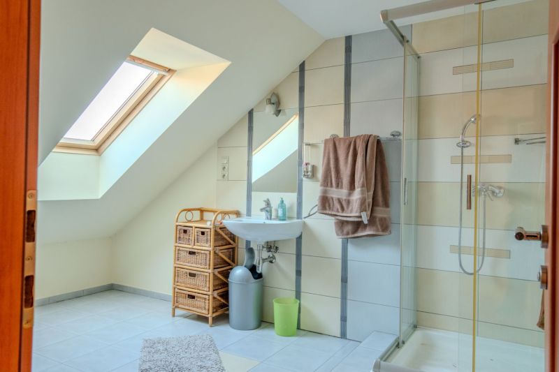 A bathroom with skylight lighting, featuring a shower and a sink in a family house.