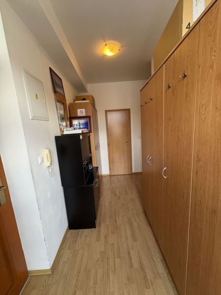 A hallway with a wooden decor floor, a wardrobe, and a ceiling light in a 3-room apartment.