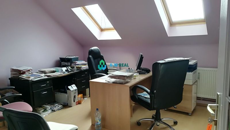 Offices with wood-patterned flooring, containing work desks and skylights.