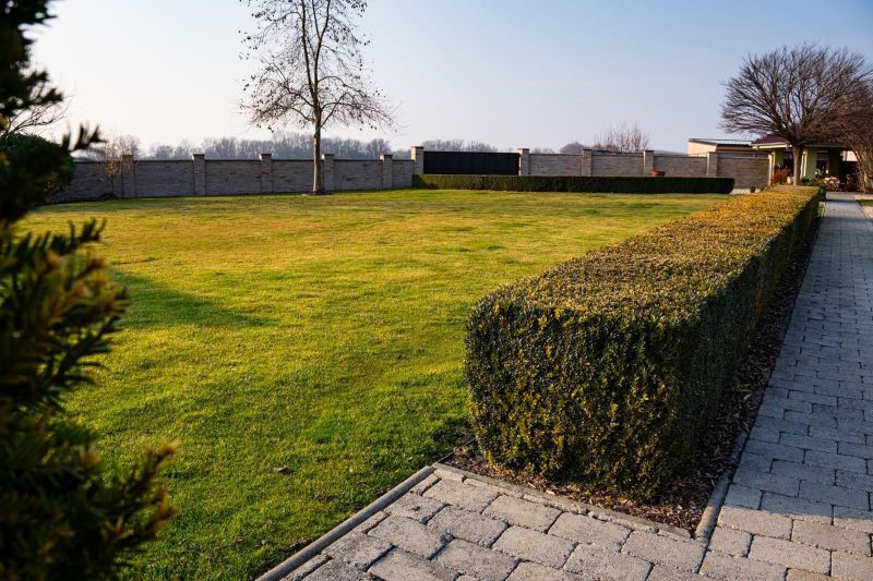 Lawn and trimmed hedge at a family house in Dolný Bar.