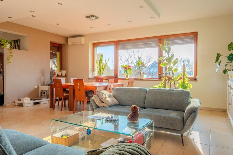 Living room with large windows and lots of plants in a family house.