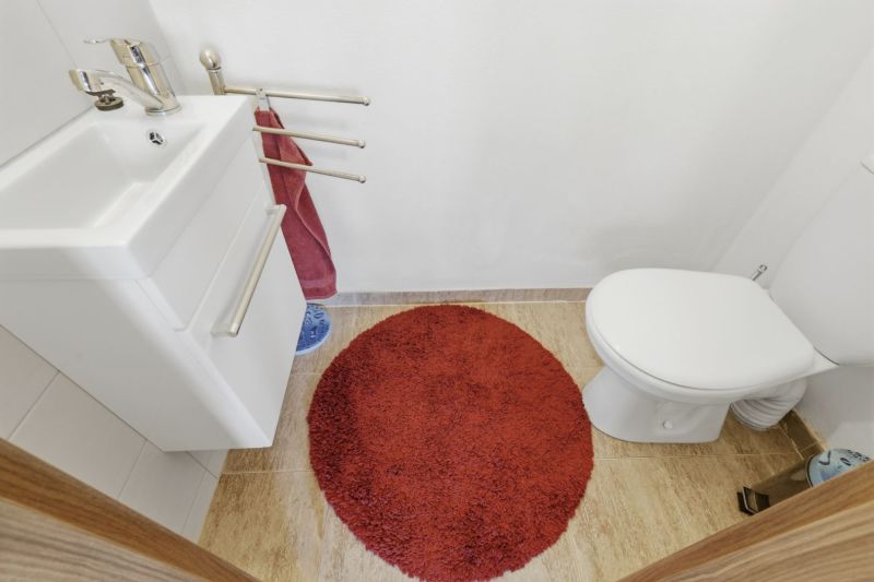 A bathroom in a family house with a white sink, toilet, and red rug.