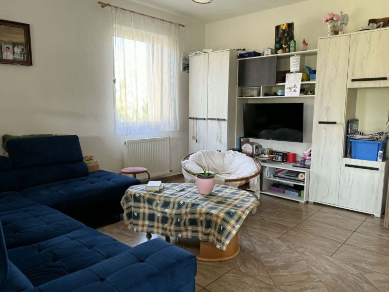 Living room in a family house with a sofa, television, and a table with a flower.