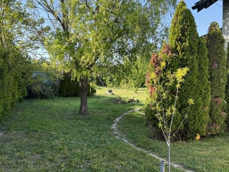 The garden of a family house in Dolný Štál, surrounded by trees and well-maintained greenery.