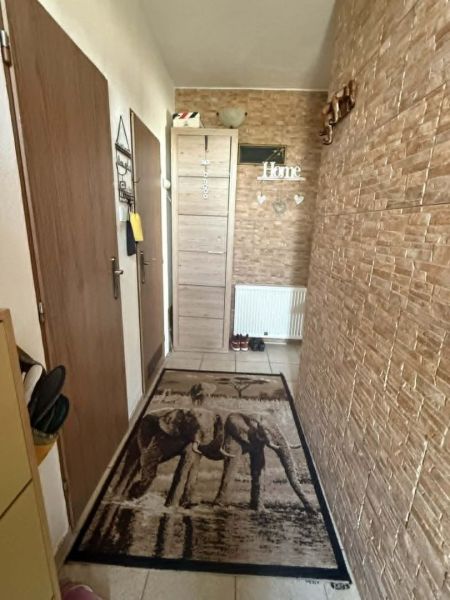 Entrance hallway in a family house with an elephant carpet and stone walls.