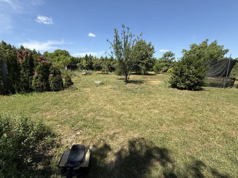 A garden at a family house in Dolný Štál with a lawn and trees.