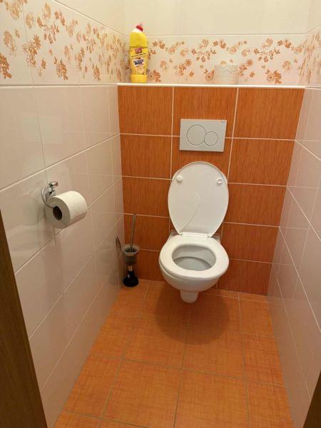 A bathroom in a 3-room apartment with orange tiles and a toilet.