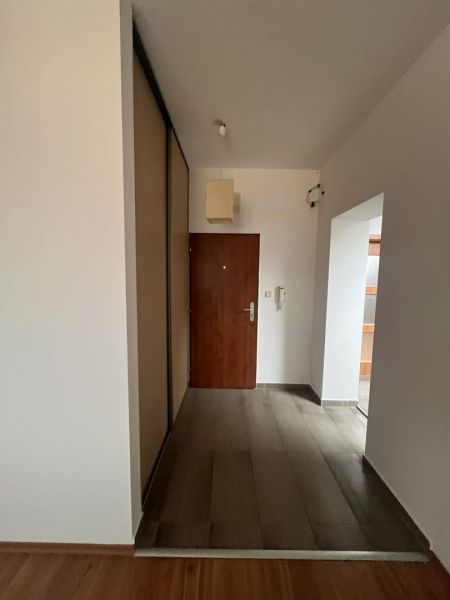 Entrance hallway in a 3-room apartment with a wooden decor floor and a wardrobe.