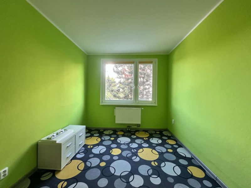 A room in a 3-room apartment with a colorful carpet and green walls.