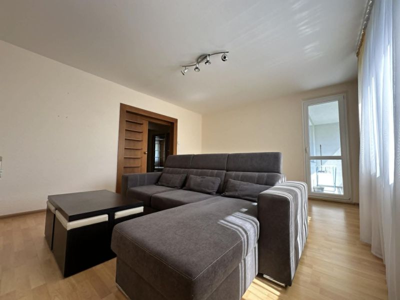 Living room in a 3-room apartment with a sofa and wooden decor flooring.