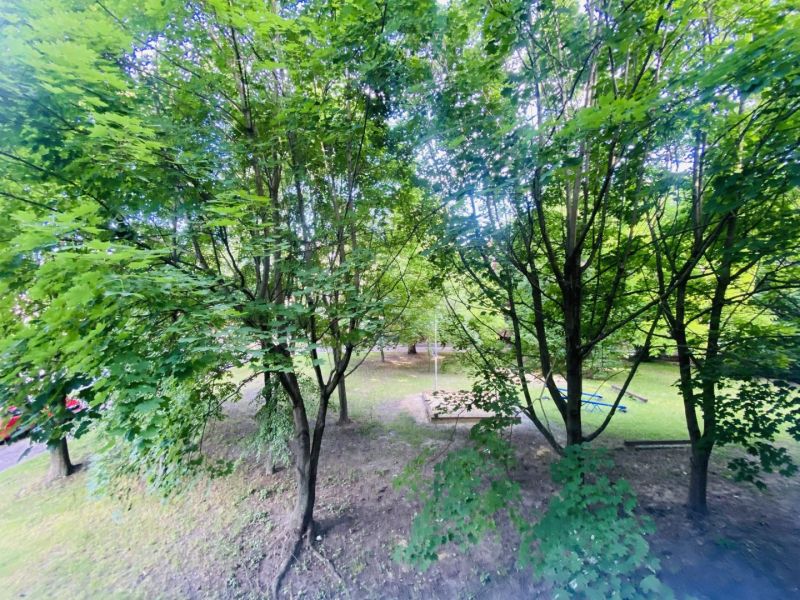 Greenery in Dunajská Streda with a sandbox and a swing, surrounded by trees.